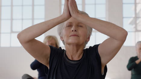 portrait yoga class beautiful old woman exercising healthy meditation practicing prayer pose enjoying group physical fitness workout in studio