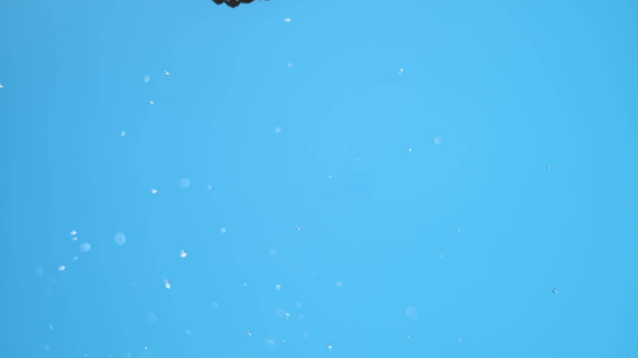 A single blackberry flying through the air with water dropelts, spinning