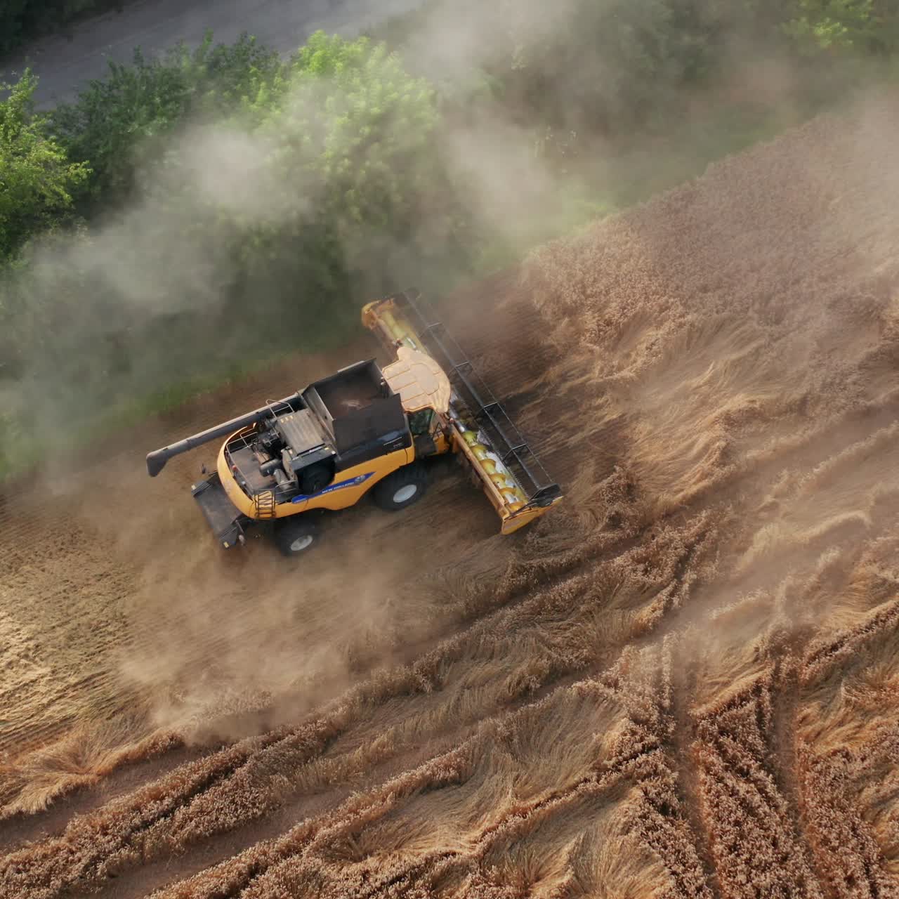 Yellow harvester has stuck a little so moves slowly backwards. Clouds of dust rising from machine. Green trees at backdrop