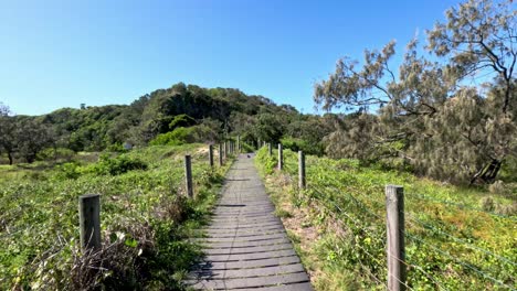 wooden path through lush greenery towards a hill