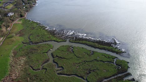 Humedales-Del-Río-Coran-En-La-Costa-Del-Océano-En-Laugharne,-Carmarthenshire,-Gales