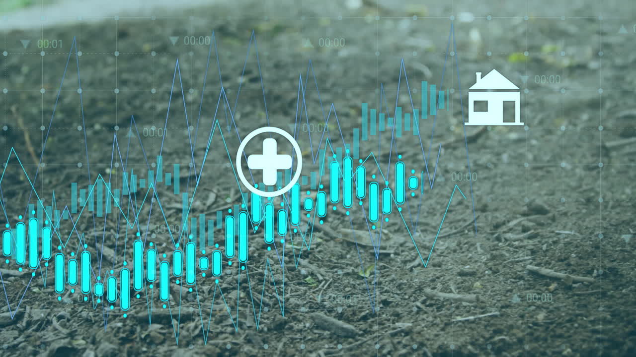 집 아이콘과 함께 토양 배경에 대한 금융 데이터 및 의료 애니메이션
