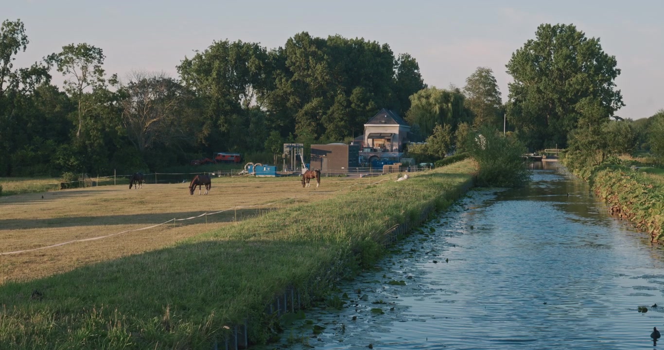 Pasture meadow with grazing horses and serene water canal reflecting natural greenery forest