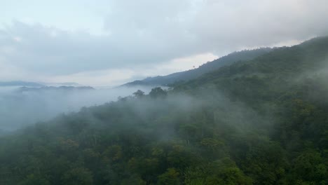 Foggy-Clouds-Over-Dense-Rainforest-Over-Mountains-In-The-Province-of-Catanduanes,-Philippines