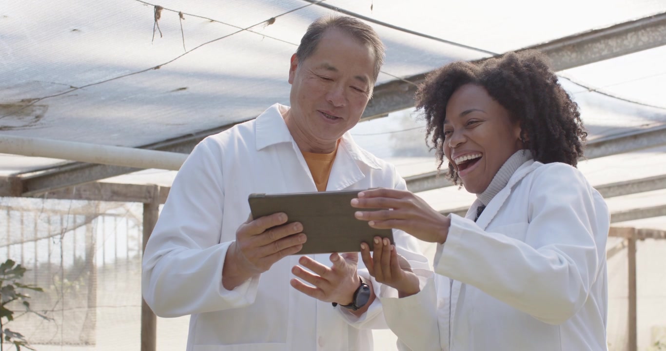 Diverse coworkers reviewing data on tablet pointing leaning laughing in greenhouse with lab coats