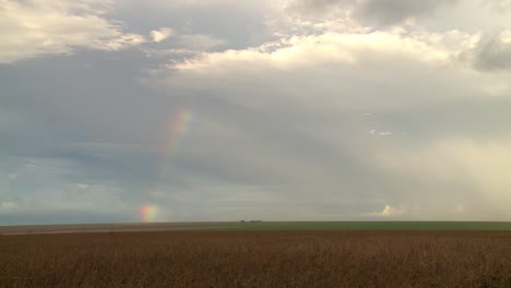 Arco-Iris-Sobre-Campos-De-Soja,-Escena-De-Granja-Agrícola-De-Soja,-Plano-Amplio