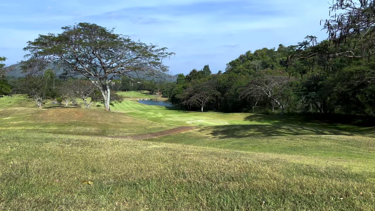Paesaggio verde lussureggiante con alberi e fairway.