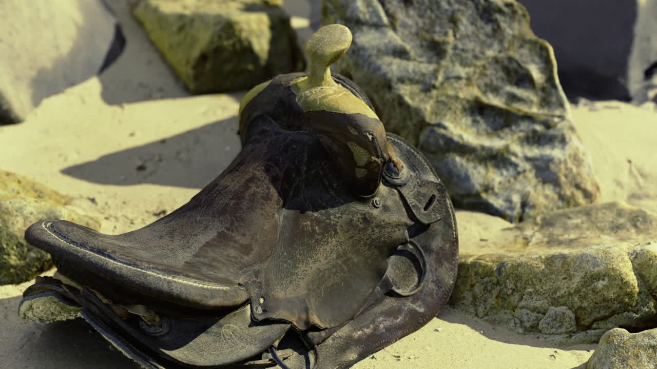 Old leather saddle resting on rocky beach amidst quiet landscape