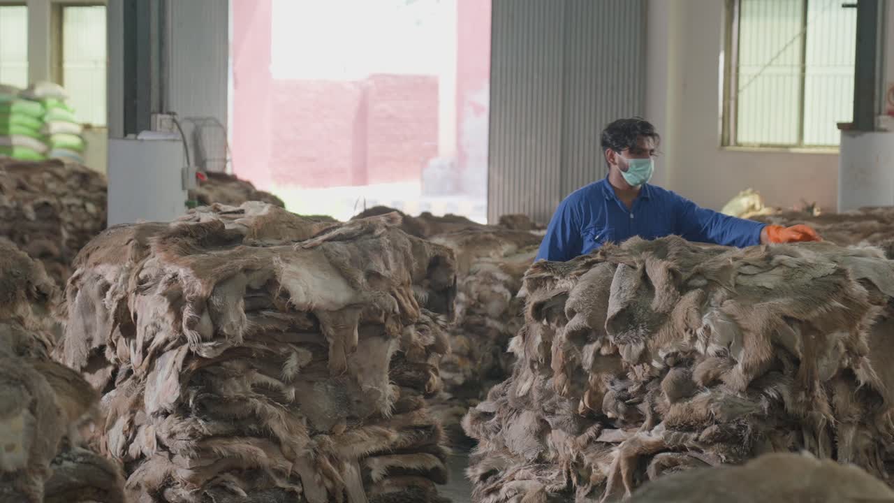 Worker Stacking And Organizing Raw Animal Hides For Production In A Leather Textiles Factory.