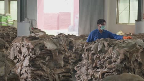 worker stacking and organizing raw animal hides for production in a leather textiles factory.