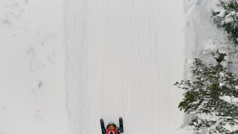 snowmobile adventure in snowy forest