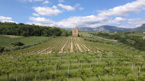 wide angle drone shot going towards a vineyard with an ancient castle located on the property surrounded by mountains in the distance shot in the countryside of abruzzo in italy