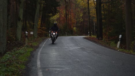 motorcyclist is driving through a autumn forst at a moody day