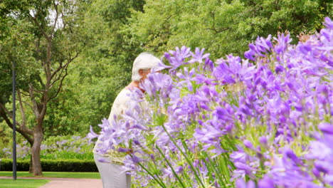 Mujer-Blanca-Mayor-Caminando-En-Un-Parque-Admirando-Las-Flores