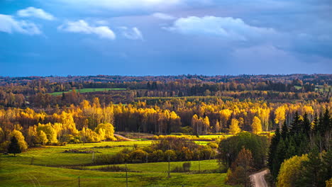 Zeitraffer-Der-Grünen-Und-Gelben-Herbstlichen-Waldlandschaftsansicht,-Naturhintergrund