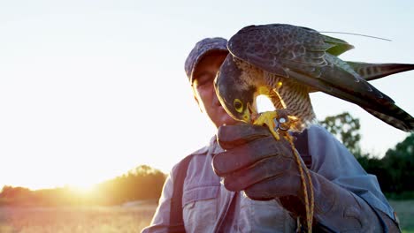 hombre alimentando águila halcón en su mano