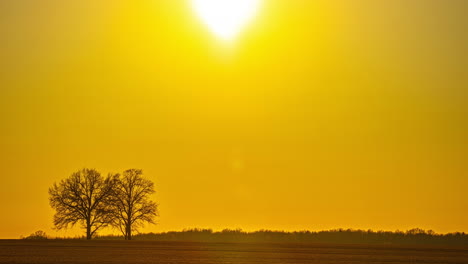 Atardecer-Transición-Tiempo-Lapso-Sol-Abajo-Amarillo-Naranja-Cielo-Agricultura-Campo