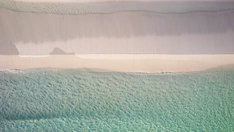 aerial view of a seagull flying off an empty white sand beach with emerald waters