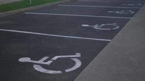 parking spaces allocated for wheel chair users and disabled drivers