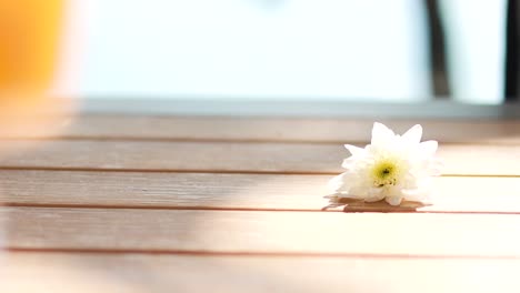 un crisantemo descansa en una mesa de madera iluminada por el sol