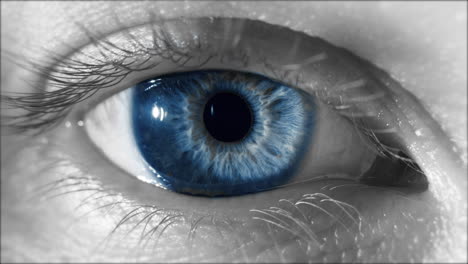 close-up of a blue eye