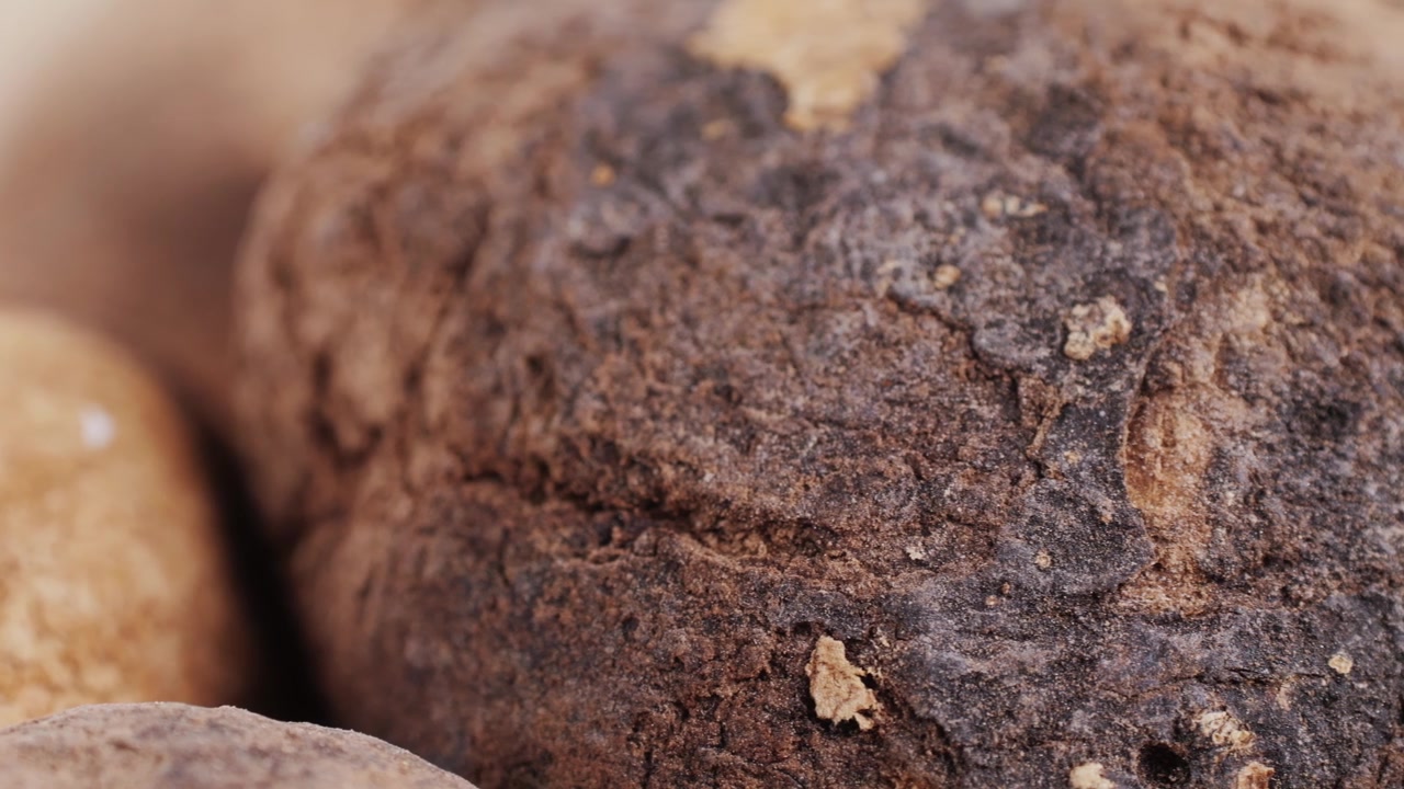 Macro Close-up of Whole Dried Nutmeg Spice