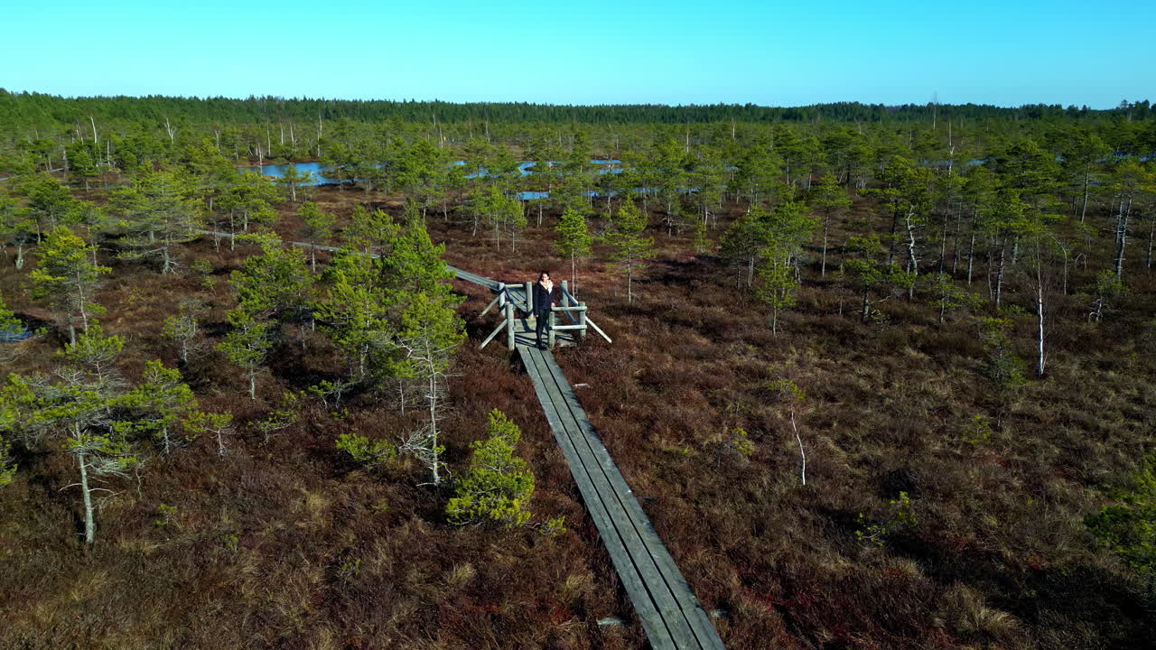 toma de ángulo alto de una mujer joven de pie en un muelle de madera mirando alrededor del estuario durante la noche