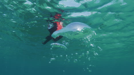 slow-motion of an underwater photographer blowing bubbles in clear australian pacific ocean waters