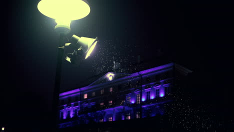 View-of-streetlamp-in-a-park-on-snowy-winter-night-and-decorated-house-in-background