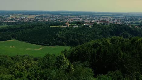 Grüner-Wald-In-Österreich-Mit-Einer-Burg-Im-Hintergrund