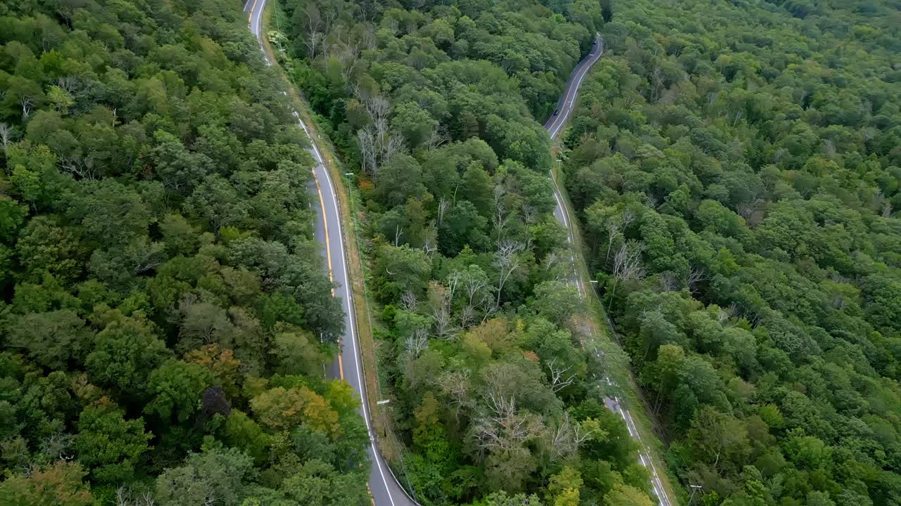 Scenic aerial view of lush forest along Route 2 Mohawk Trail in MA USA