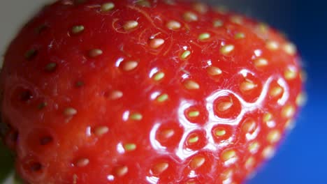 macro shot of a ripe red strawberry being inspected for eating