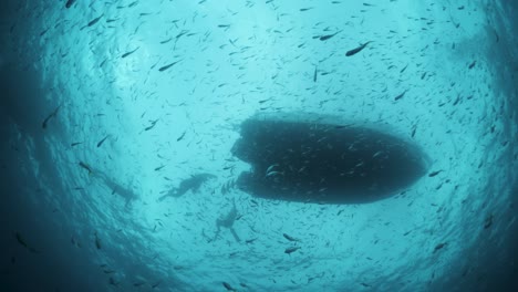 Einzigartige-Unterwasserfotografie-Perspektive-Snells-Fenster-Eines-Großen-Bootes-Mit-Schnorchlern,-Die-Im-Klaren-Blauen-Wasser-Mit-Massen-Von-Fischschwärmen-Schwimmen-Und-Treiben