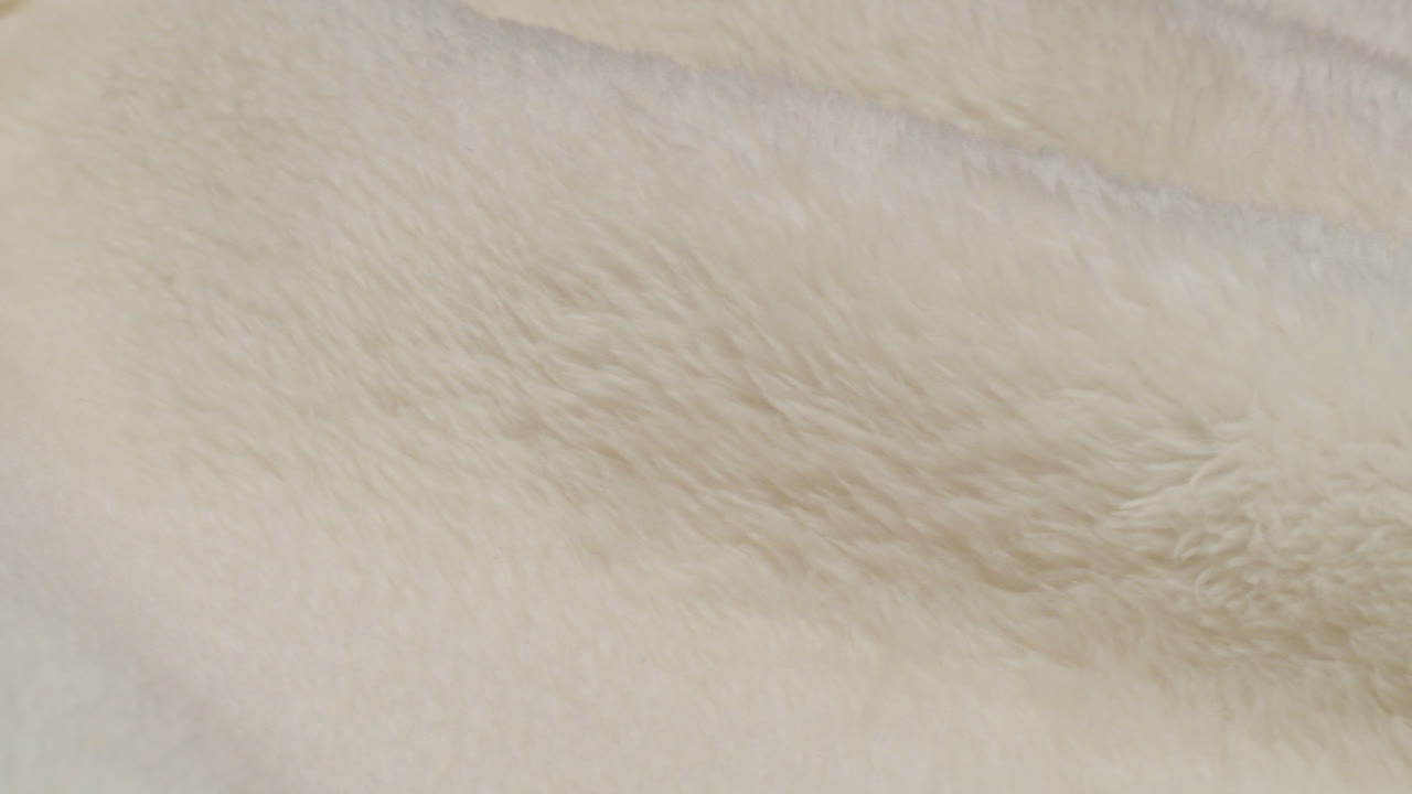 Close-up of White Fur Texture