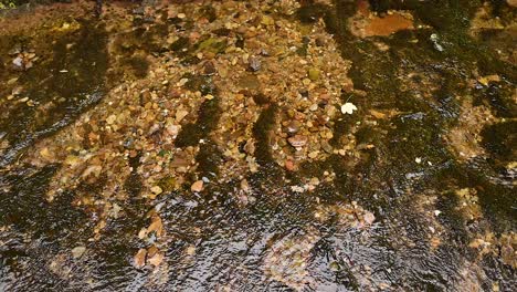 water flowing over gravel in a stream