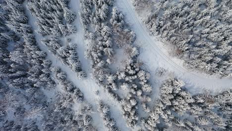 Drohnenflug-Verschneite-Landschaft-Im-Schwarzwald-Deutschland