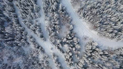vuelo de avión no tripulado paisaje nevado en la selva negra alemania