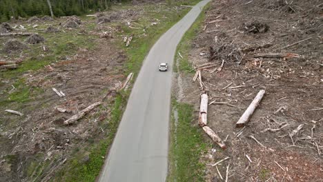 Following-behind-a-white-SUV-driving-a-forest-road-through-a-clear-cut-area,-aerial-track-and-pan-up