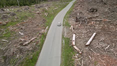 siguiendo detrás de un todoterreno blanco que conduce por un camino forestal a través de un área despejada, una pista aérea y una panorámica hacia arriba