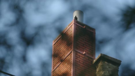 black bird perched on a brick chimney of house