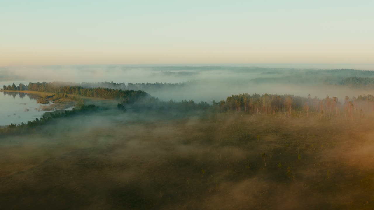 아름다운 호수, nõva, 에스토니아와 함께 장엄한 안개 숲에서 일출
