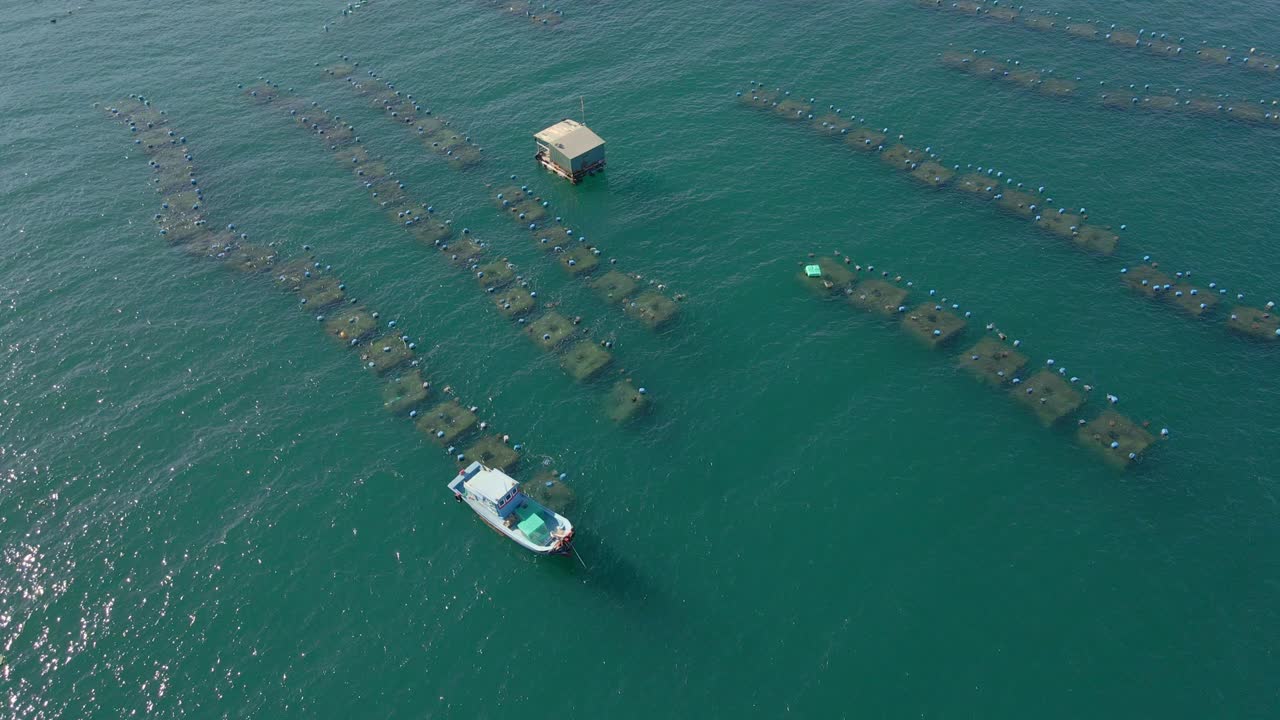 fotografía aérea de grandes granjas marinas en el mar abierto en los trópicos. concepto de cultivo marino
