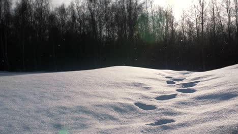 Los-Copos-De-Nieve-Caen-Sobre-Las-Huellas-Dejadas-En-El-Nevado