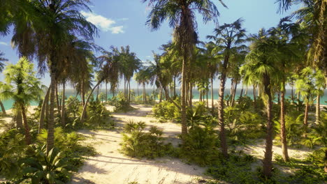 Tropischer-Strand-Mit-Weißem-Sand,-Türkisfarbenem-Wasser-Und-Palmen