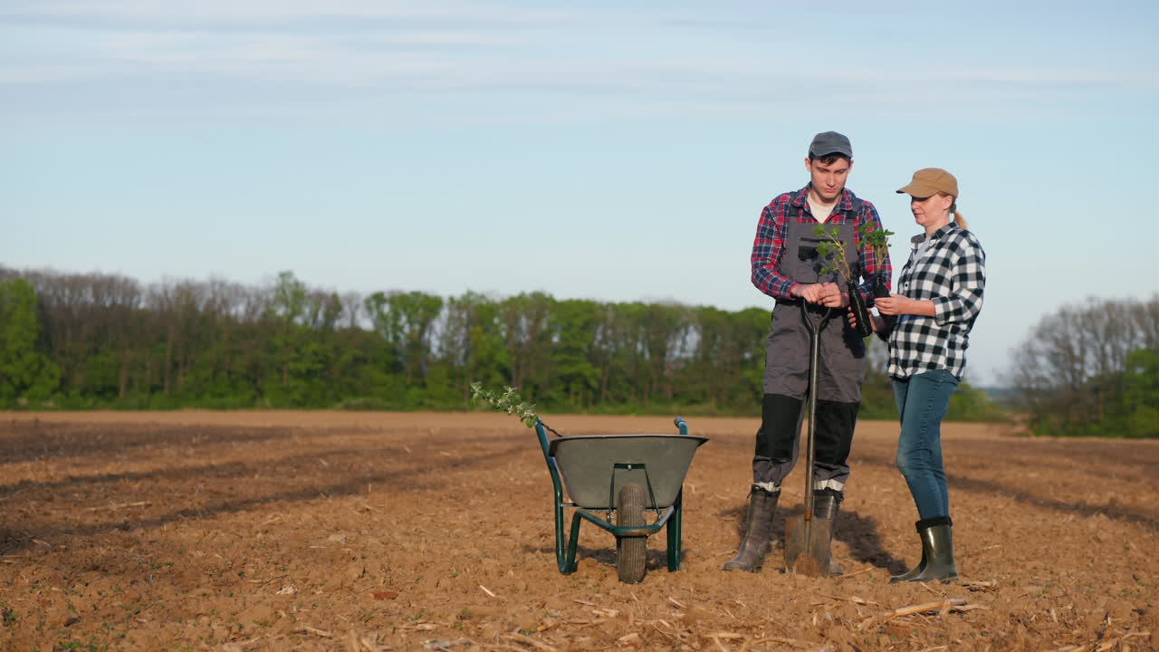 agricultores plantando árboles en un campo