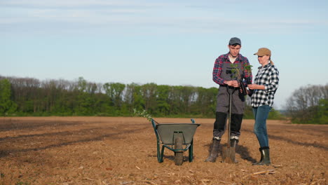 farmers planting trees in a field