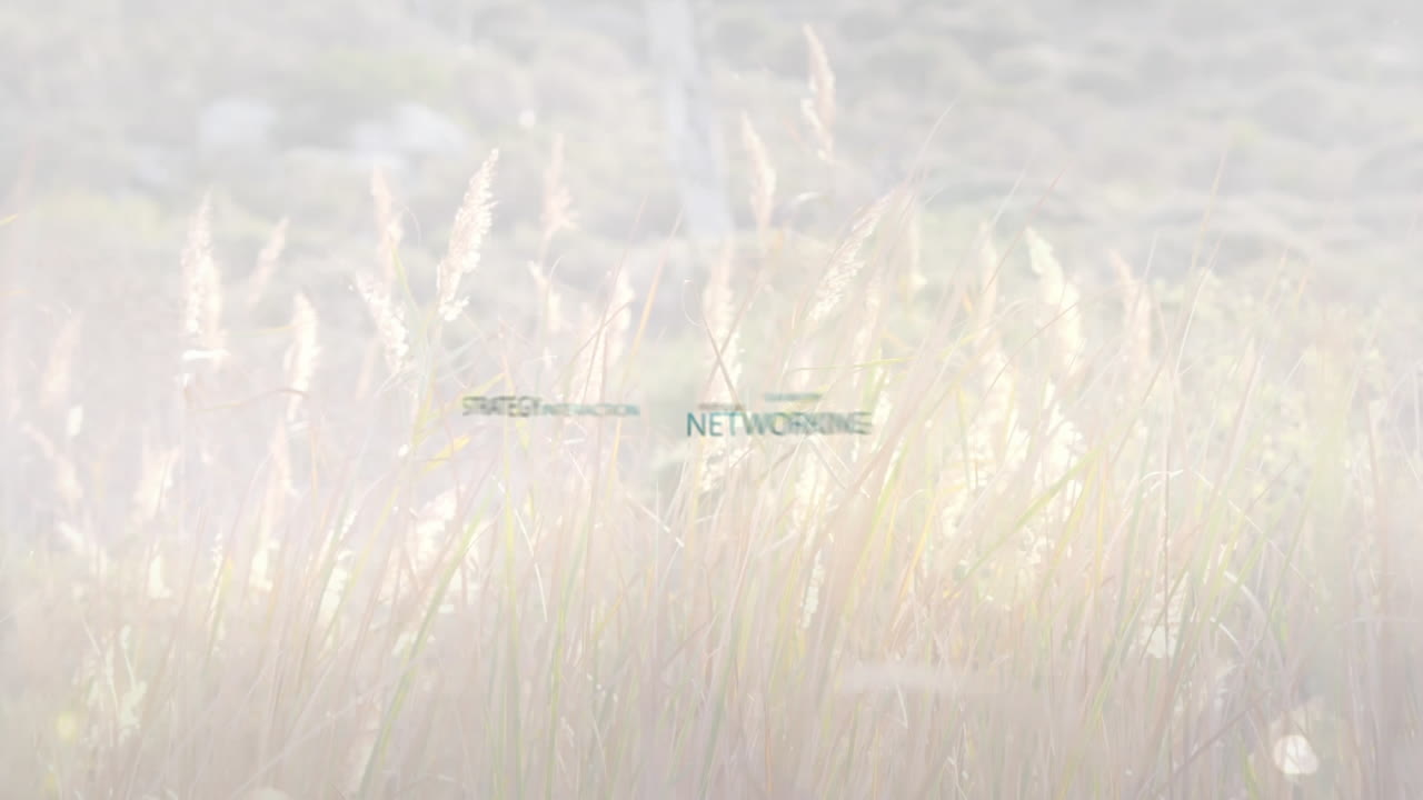 비즈니스 및 동기 부여 텍스트의 애니메이션