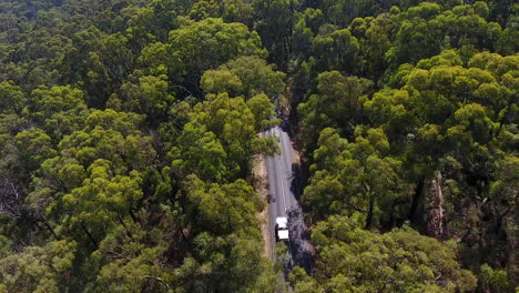 tracking cars through forest with drone