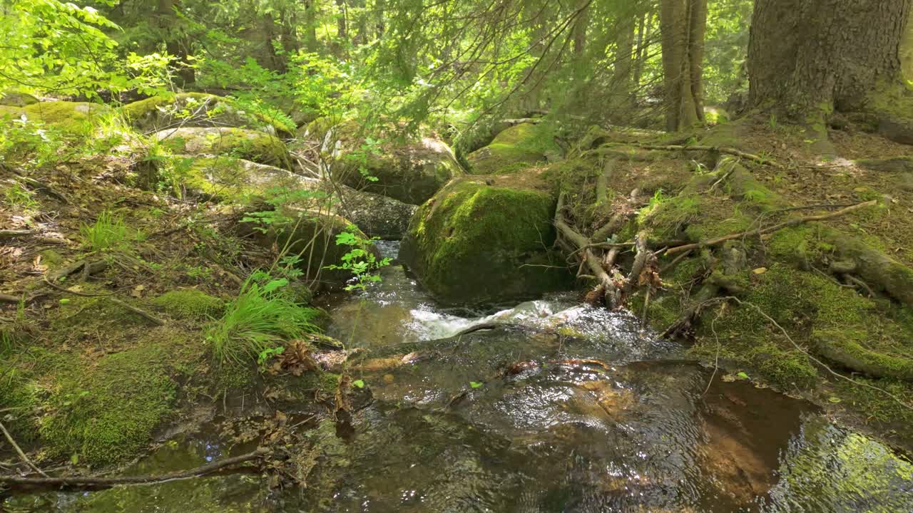 Optagelser af Vkadaya-floden i Vitosha-bjerget, nær Sofia, Bulgarien