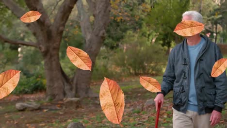 Animación-De-Hojas-De-Otoño-Cayendo-Sobre-Un-Hombre-Mayor-Caucásico-Feliz-En-El-Parque